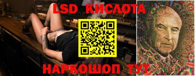 прущие крисы Можга