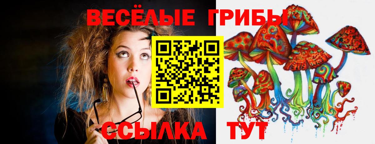 Ивантеевка  Галлюциногенные грибы Magic Shrooms  Вход с VPN  Галлюциногенные грибы мицелий 